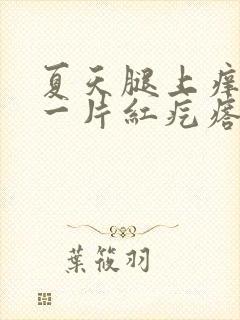 夏天腿上痒挠完一片红疙瘩