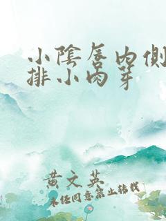 小阴唇内侧长一排小肉芽