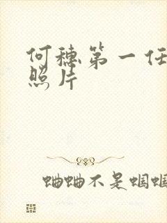 何穗第一任老公照片