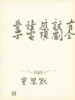 爱情应该有的样子电视剧全集免费