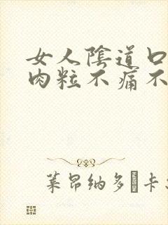 女人阴道口长小肉粒不痛不痒