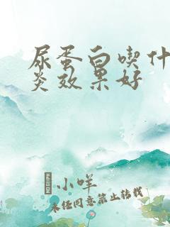 尿蛋白吃什么消炎效果好