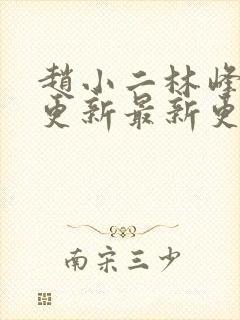 赵小二林峰刚刚更新最新更新小说