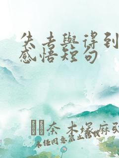 失去与得到人生感悟短句