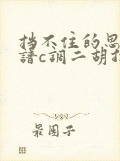 挡不住的思念简谱c调二胡指法