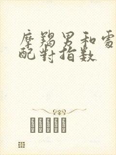 摩羯男和处女女配对指数