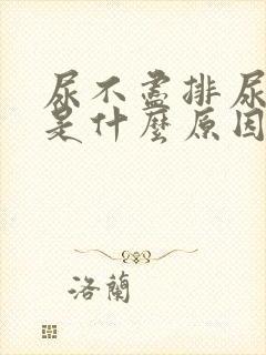 尿不尽排尿困难是什么原因