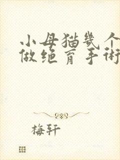 小母猫几个月能做绝育手术