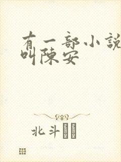 有一部小说主角叫陈安