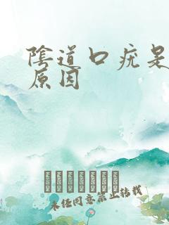 阴道口疣是什么原因