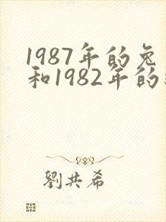 1987年的兔和1982年的狗结婚好吗