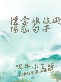 怀念姐姐逝世的伤感句子