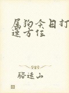属狗今日打牌财运方位