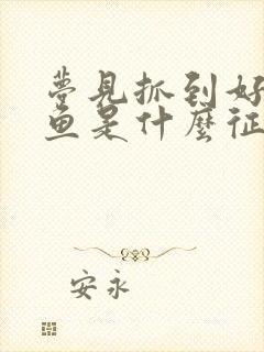 梦见抓到好大的鱼是什么征兆