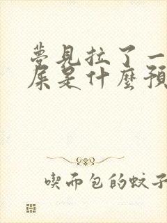 梦见拉了一裤裆屎是什么预兆周公解梦