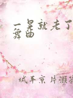 一晃就老了dj舞曲