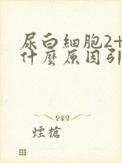 尿白细胞2+是什么原因引起的