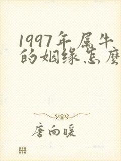 1997年属牛的姻缘怎么样