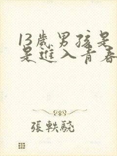 13岁男孩是不是进入青春期叛逆期