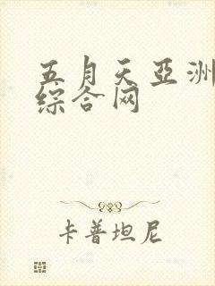 五月天亚洲精品综合网