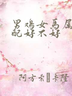 男鸡女马属相婚配好不好