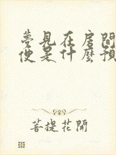 梦见在房间拉大便是什么预兆