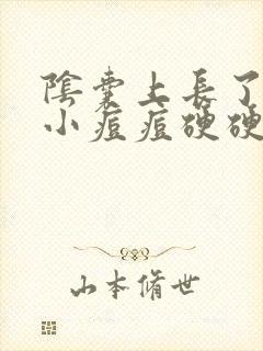 阴囊上长了一个小痘痘硬硬的