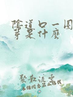 阴道口一圈小肉芽是什么