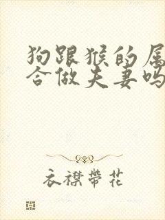 狗跟猴的属相适合做夫妻吗