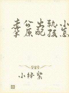 老公出轨小三怀孕原配孩怎么办