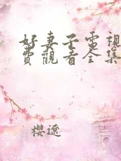 好妻子电视剧免费观看全集西瓜