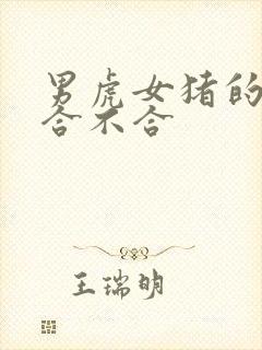 男虎女猪的属相合不合