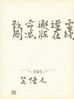 致命邂逅电影未删减版在线观看