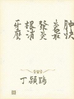 牙根发炎肿痛怎么消炎最快