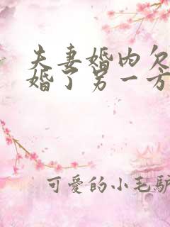 夫妻婚内欠款离婚了另一方要承担吗