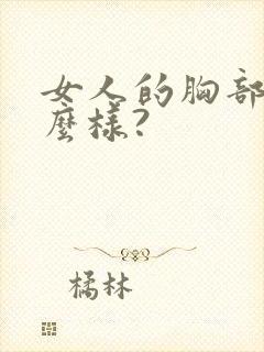 女人的胸部长什么样?