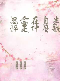 思念在月光里憔悴是什么歌的歌词