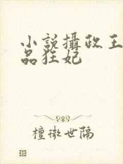 小说摄政王的医品狂妃