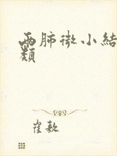 两肺微小结节2类