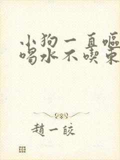 小狗一直呕吐只喝水不吃东西