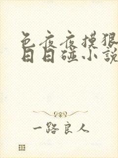 色夜夜摸狠狠摸日日碰小说