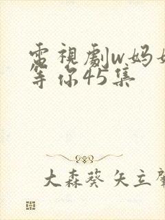 电视剧w妈妈在等你45集