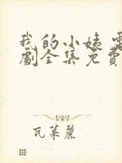 我的小姨 电视剧全集免费观看