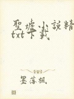 圣墟小说精校版txt下载