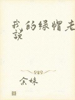 我的绿帽老公小说