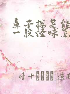 鼻子总是能闻到一股怪味怎么回事