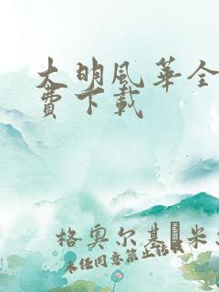 大明风华全集免费下载