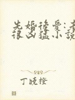 先婚后爱:老公很凶猛小说全文免费阅读