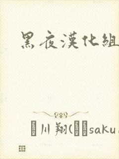 黑夜汉化组