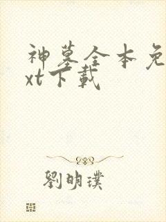 神墓全本免费txt下载